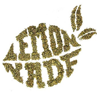 Lemonnade - Portland