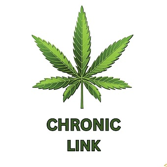 Chronic Link - Salamanca