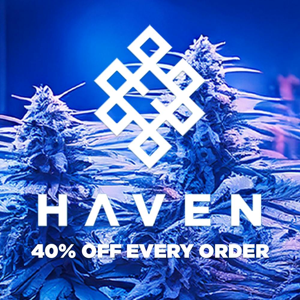 HAVEN Cannabis Marijuana and Weed Dispensary - Downtown Long Beach