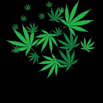 Amnesia Dispensary (Now Open!)