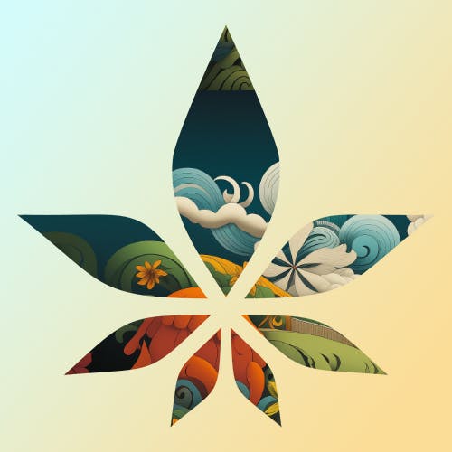 Oasis Cannabis Las Vegas - Now Open!