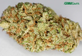 Liberty Flower 3.5G / $45  Assorted Strains