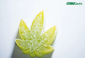 1906 Edibles  $45.00 (20Pk)