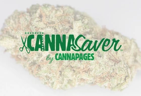 Member pricing, daily specials