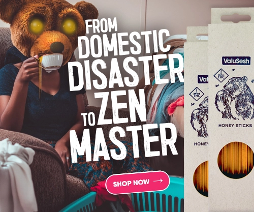 ValuSesh Delta-9 Infused Honey Sticks