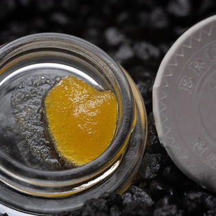 (g) Bahama Mama - 1g Live Wet Sugar-Hybrid