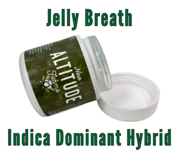(each) Jelly Breath 3.5g