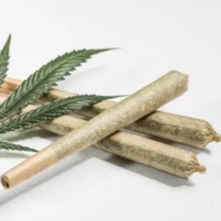 (g) Assortment of Prerolls