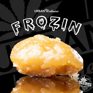 (g) Black Papaya - Live Rosin - 90-120u