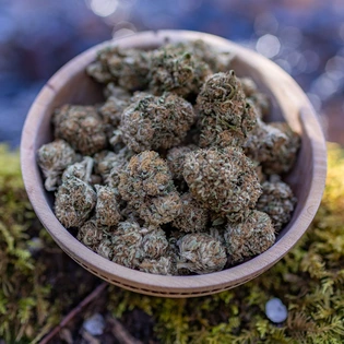 (g) Lemon Grass CBG(.75g) $6.00