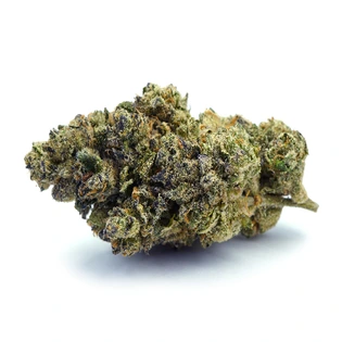 (each) Donatella Small Buds | Indoor 14g