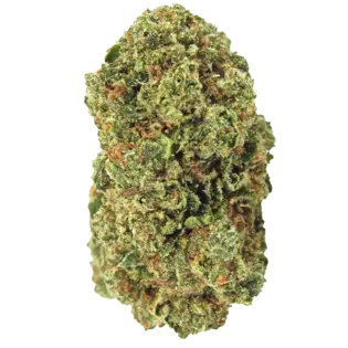 (g) Talking Trees Delicata Fire OG 0.6g single pre roll