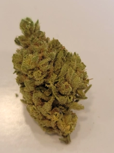 (g) Bubba's Gift 1334