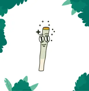 (g) Tootsie Frootsie (5pk.) - 2.5g - Small Joint Box