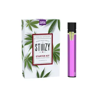 (each) STARTER KIT BATTERY - STIIIZY PURPLE