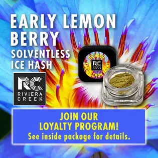 (g) Early Lemon Berry Ice Hash