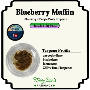 (1.0g) Blueberry Muffin 4* Bubble Hash Extract | 1g