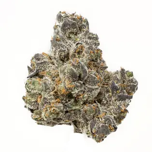 (g) Apple Fritter (Fenario Farms)