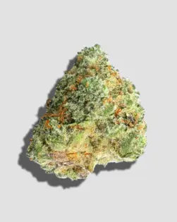 (g) Deli Style Sun Kissed Tier - Cocoa Bomb