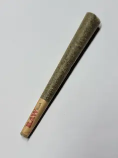 (g) Alley Cat 1 Gram Infused 14% Gypsie Road Sugar