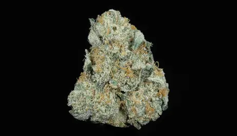 (g) Gelato 33 (25.49% THC)