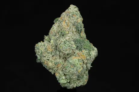 (g) Potent Paul's Permanent Marker (THC: 27.39%)