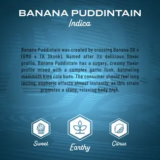 (7.0g) Flower | Mission | Banana Puddintain