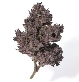 (g) Alchemy Pure | Blackstrap | Flower | .7g | Hybrid