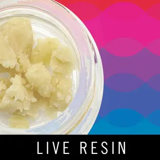 (each) Levitate - Live Resin - Oreoz - 1g