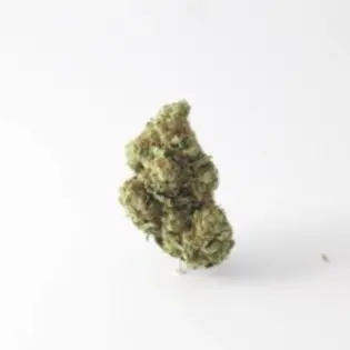 (g) Deli Style Value Tier - Motor Candy Smalls