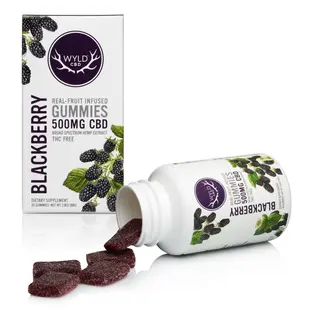 (each) Boxed Blackberry HEMP 500mg Gummy 20 piece - Wyld
