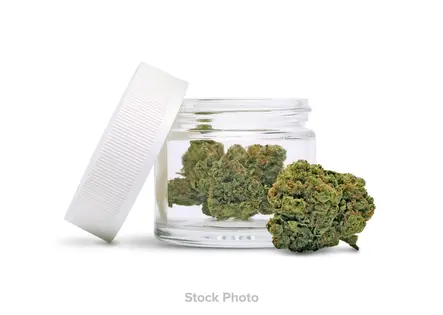 (28.0g) (AB) Blank 28g Apple Fritter (H)