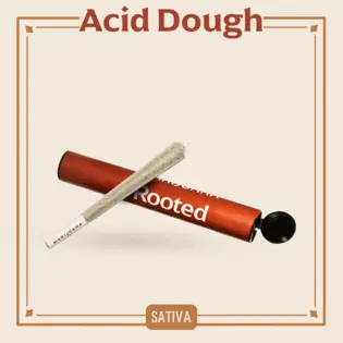 (1.0g) Acid Dough Pre-Roll | 1g