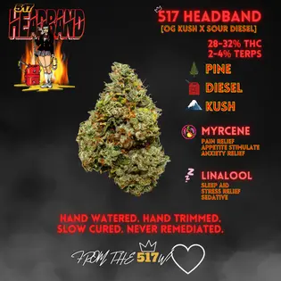 (15.0g) 517 PREMIER PRE PACK | HEADBAND