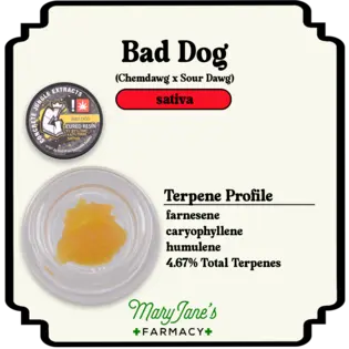 (2.0g) Bad Dog Cured Resin Extract | 2g