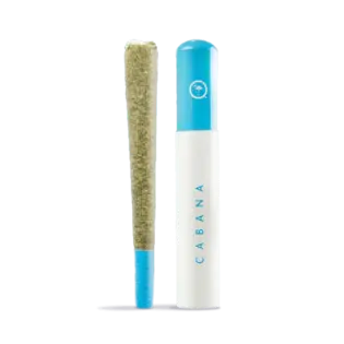 (1.0g) Cabana Zelephant Single Pre-roll 1g