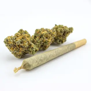 (each) Redneck Runtz 1g Preroll