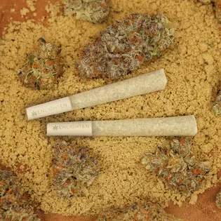 (g) Enlighten | .5g Hash Kicker Joint | Blue Dream (sat) | 21.67%THC | 1.74%Terp