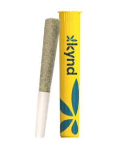 (each) Dip N Stix - Preroll 1g/1pk