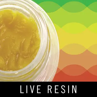 (each) Levitate - Live Resin Baller Jar - Oreoz - 5g