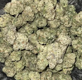 (g) RAINBOW RUNTZ | MID SHELF