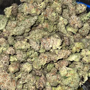 (g) HAN SOLO | MID SHELF