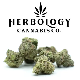 (1.0g) Epic Gardens | XO Runtz | Deli