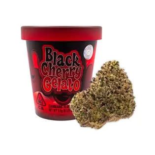 (each) COOKIES  - Black Cherry Gelato - Flower Tub - 3.5G