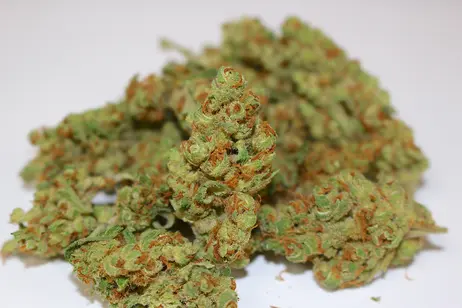 $59/oz OTD Indoor Flower