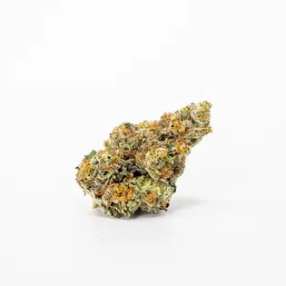 (g) Permanent Marker