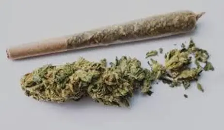 (each) Designer Runtz - 1g - Preroll - Rebel Dog Farms