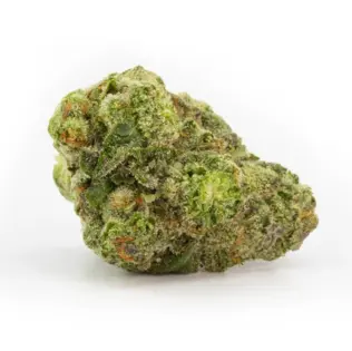 (g) Deli Style Sun Kissed Tier - Guava Tartz