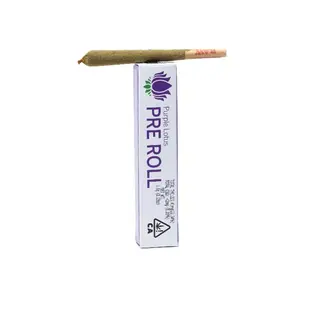 (each) Biscotti [1g]