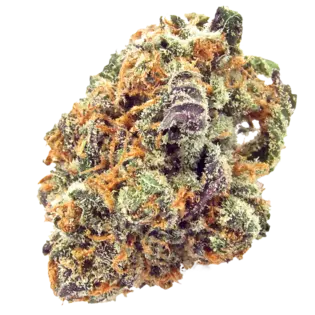 (g) Mimosa [tax included pricing, OTD]